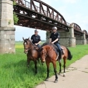 Polizeireiter vor der Dömitzer Eisenbahnbrücke