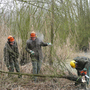 Vorschaubild Biotoppflege