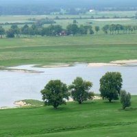 Elbe