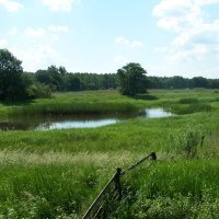 Pevestorfer Wiesen
