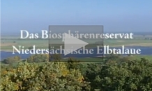Kurztrailer zum Biosphärenreservat Niedersächsische Elbtalaue