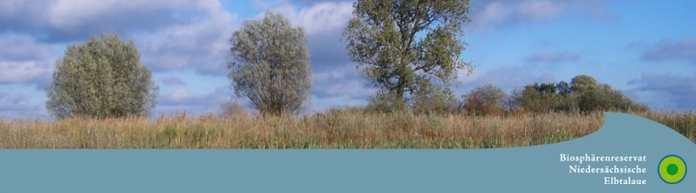 Willkommen auf der Homepage des Biosphärenreservats Niedersächische Elbtalaue!