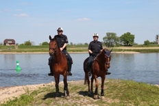 Polizeireiter am Elbufer