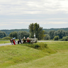 Radfahrer am Deich