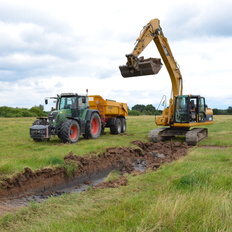 Anlage von Flachgewässern für Rotbauchunken