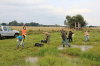 Mitarbeiter der Firma SAP bei der Entnahme von Wasserpflanzen