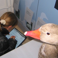 Ganz viel Gans - auch in der Ausstellung im Biosphaerium
