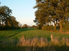 Marschhufenlandschaft bei Bleckede