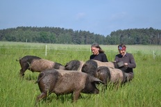 Artgerechte und traditionelle Haltung auf dem Hutewaldhof