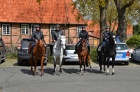 Polizeireiter im Biosphärenreservat Niedersächsische Elbtalaue 2017