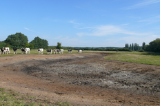 Noch ungefülltes Flachgewässer am Großen und Kleinen See (Amt Neuhaus)