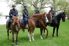 Polizeireiterinnen bei Pevestorf