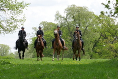 Polizeireiterinnen im Galopp