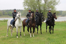 Gruppe der vier Polizeireiterinnen und -reiter aus Hannover und Braunschweig