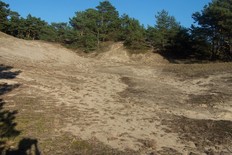 Stixer Wanderdüne