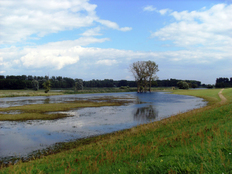 Radwanderung am Grünen Band