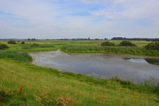 Elbe bei Penkefitz