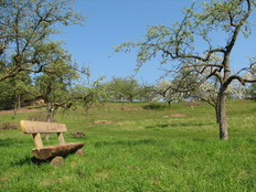 Erholung auf der Streuobstwiese bei Pevestorf