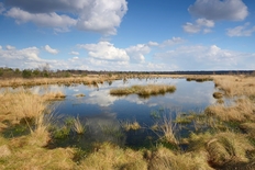 Naturpark Bourtanger Moor