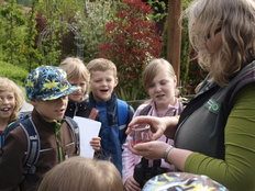 Junior Ranger