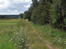 Natur am Grünen Band