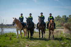 Polizeireiter*innen an der Elbe