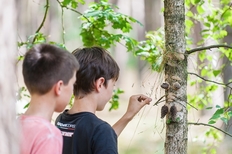 Ferienspaß am Naturum Göhrde