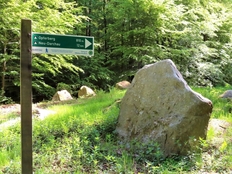 Steinzeitspuren im Schieringer Forst