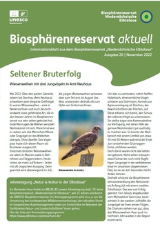 Newsletter Nr. 26