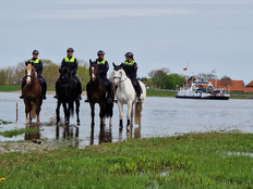 Polizeireiterstaffel 2023 am Hafen Neu Darchau