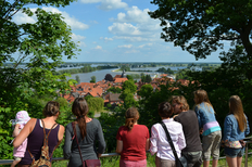 Blick vom Weinberg Hitzacker