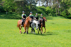 Polizeireiterinnen und -reiter im Erholungsbereich von Vietze