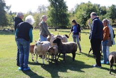 Foto mit Teilnehmenden des Partnertreffens und einigen Schafen im Land der Tiere in Banzin