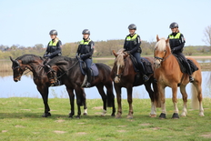 Reiterinnen und Reiter der Polizeireiterstaffeln Braunschweig und Hannover mit ihren Dienstpferden Pepe, Gonzo, Signum und Sam