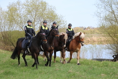 Reiterinnen und Reiter der Polizeireiterstaffeln Braunschweig und Hannover mit ihren Dienstpferden Pepe, Gonzo, Signum und Sam