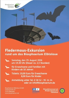 Fledermaus-Exkursion