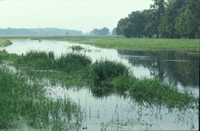Rögnitz nach Starkregen