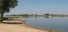 Elbestrand
