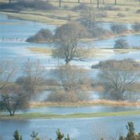 Winterhochwasser