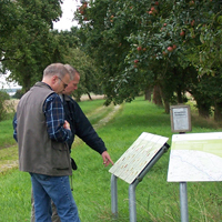 Obstbaumalleen in Neuhaus