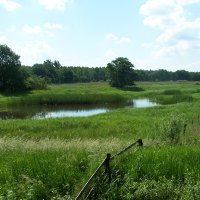 Pevestorfer Wiesen