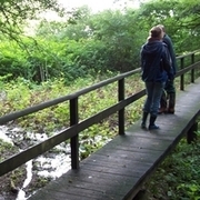 Der Bohlensteg über den Thalmühlbach am Höhbeck.