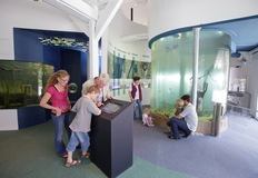 Aquarium Biosphaerium