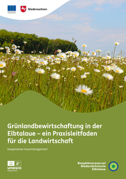Titelseite des Praxisleitfadens "Grünlandbewirtschaftung in der Elbtalaue"