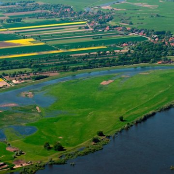 Auenlebensräume bildeten den Untersuchungsschwerpunkt im KLIMZUG-NORD-Projekt.