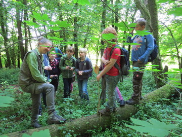 Junior-Ranger im Wald