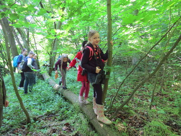 Junior-Ranger im Wald