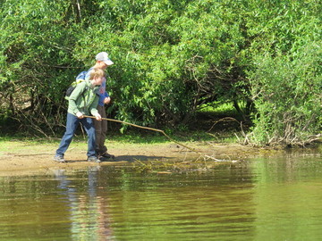 Junior-Ranger und der Biber