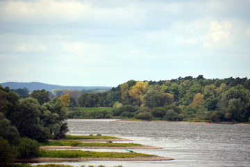 Elbe