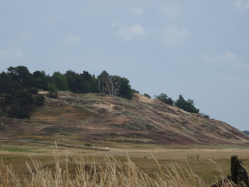 Binnendüne Klein Schmölen